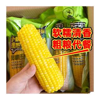 Northeast Nongsao 200g*8 sticky yellow waxy sticky corn soft glutinous corn cob fragrant glutinous vacuum packaging