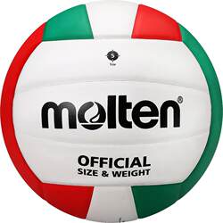 Molten No. 5 skin volleyball special training for high school entrance examination students competition physical examination soft and hard volleyball official authentic product