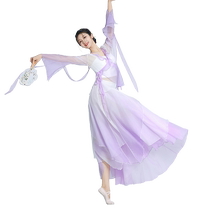Shanrantang classical dance dance practice clothing gauze top rhyme wide-leg pants elegant female Chinese dance performance clothing