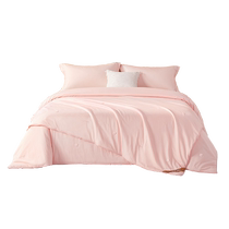 Boyang 100% mulberry silk quilt spring and autumn quilt mother-in-one quilt two-in-one zipper style cotton wedding thickened winter quilt