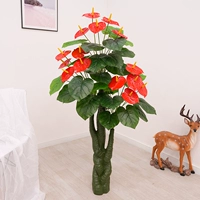1,4 метра Xiangyun Flamingo Flower (без горшка)