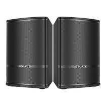 Sony Ericsson 10 12-inch home KTV audio set home karaoke living room theater karaoke conference dance studio 310