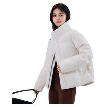 Flying in the Snow 2024 Autumn and Winter New Womens Short Down Jacket Small Stand-up Collar Kendou Style Design Fashionable Thick