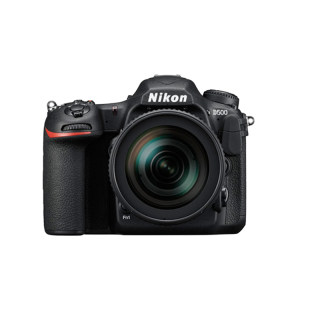 Nikon kit half-frame advanced D500 SLR for bird shooting