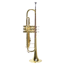 Queen QXTR-200 Bb Trumpet Instrument Lacquer Gold Nickel Plated Trumpet Tritone