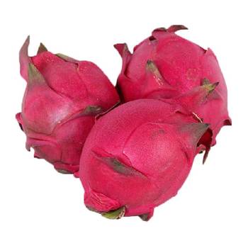 Hainan red dragon fruit fresh fruit is sweet and juicy