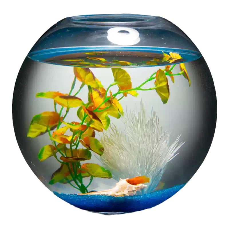 爱悦宝特大号玻璃荷花缸适用于生态中大型金鱼乌龟水培缸