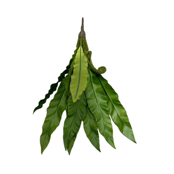 Bird's nest glue hands restaurant style material simulation green planting Bird's nest glue hands restaurant style material simulation green planting