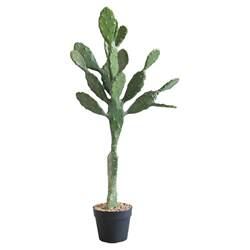 Internet-Famous Artificial Leon Cactus Green Plant Potted Decoration, Sand Plant Landscape, Desert Fake Plant Bonsai