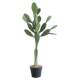 Internet celebrity simulated Leon cactus green plant potted ornaments