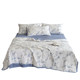 Class A four-piece ice silkworm cool summer quilt set