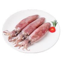 Sea Rabbit Full Seed Pen Tube Fish Sea Rabbit Fresh Live Aquatic squid Cuttlefish Frozen Whole Seed Squid Squid