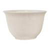 Rice Kelp Kung Fu Tea Cup Cup Holder Disposable Travel Tea Set Water Cup Drinking Tea Cup Convenient and Degradable Tea Cup Tasting