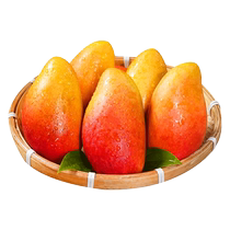 Hainan Guifei mango fresh 10 large fruit seasonal whole box tree ripe red golden dragon pepper mango