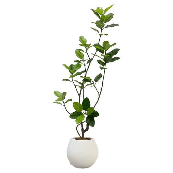 Simulated green plants with a high-end feel and middle-aged style Bengal ficus