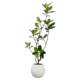 Simulated green plants with a high-end feel and middle-aged style Bengal ficus