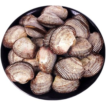 Fresh hairy clams are caught freshly and the meat is plump and tender.