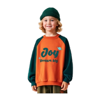 Boys sweatshirts autumn and winter childrens autumn tops spring and autumn 2024 autumn new styles long-sleeved clothes for boys and older children