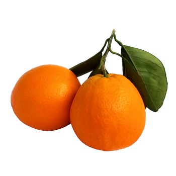 Freshly picked authentic gannan navel oranges 10 pounds whole box oranges fresh fruits seasonal color box thin-skinned juicy sweet and sour oranges