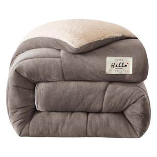 牛奶羊羔绒毛毯加厚保暖冬季被子午睡沙发盖毯被芯棉被冬被春秋被