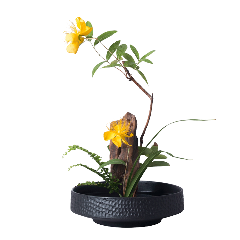 xiaohara flower device Latest Best Selling Praise