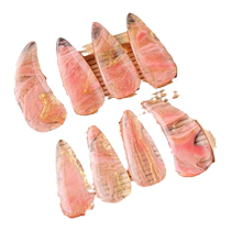 Guzheng nails for children adult tortoiseshell color professional performance-grade double-sided curved nail tape Guzheng braces