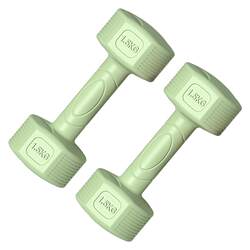 Dumbbells for Women, Home Fitness Equipment, Children and Teenagers Barbell Kettlebells 2/3kg Pair for Arm Muscle Training, Small Dumbbells for Men
