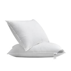Kangerxin Hilton Good Sleep Pillow, Five-Star Hotel Special Pillow, Adult Neck Protection Home Pillow Core, a Pair