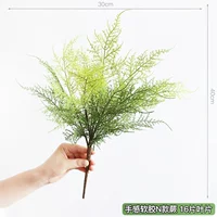 Мягкий папоротник в стиле N