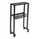 Floor-standing racket storage display rack for home use