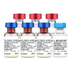 Intervet Dog Vaccine Pet Dog Quadruple Rabies Vaccine Puppy Adult Dog Vaccine Set Package Self-Injection