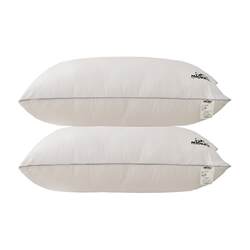 Disney pillow antibacterial cervical vertebra pillow student dormitory household 1 single male and female washable 2 double pillow cores