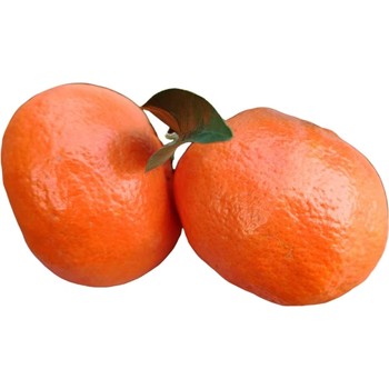 Sichuan red tangerine dahongpao citrus fresh fruit ancient tree sichuan red tangerine tangerine peel raw material authentic old variety orange