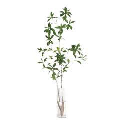 Artificial Plant Aronia, Nordic Simple Style Fake Green Plant, Indoor Living Room Tv Cabinet Desktop Fake Flower Decorative Ornament