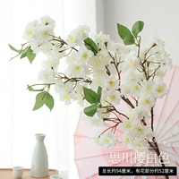 Сычуань Сакура Уайт