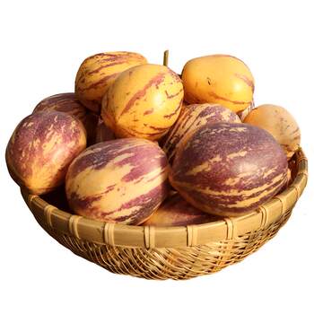 Gansu extra large 10 jin jin is equal to 0.5 kg minqin fresh ginseng fruit