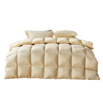 Mercury Home Textiles Bedding 90% imported white duck down quilt Class A antibacterial down winter quilt warm quilt core 24 years new product