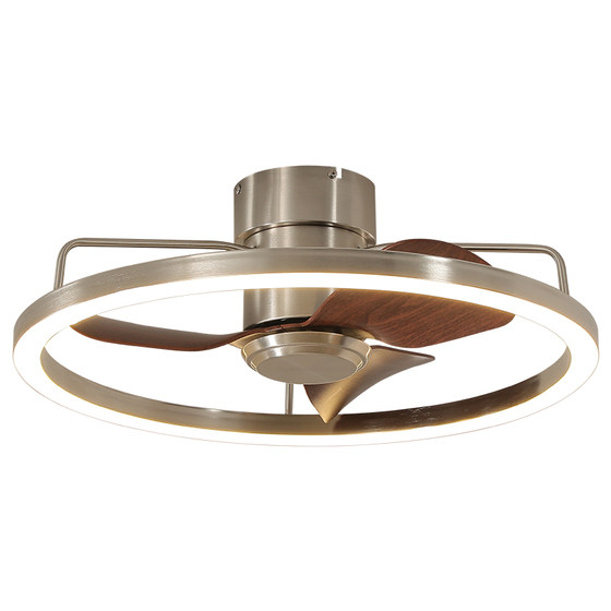 The most antique Bauhaus eye protection ceiling fan lamp