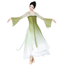 Xia Shu new classical chest-high skirt dance costume Chinese dance top skirt suit ethnic dance performance costume