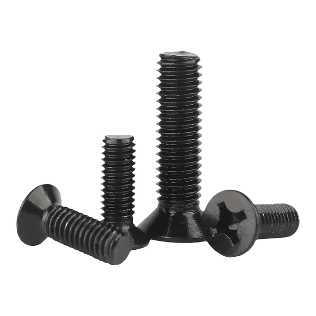 Black 304 stainless steel Phillips countersunk head screws