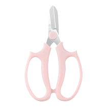 Zhang Xiaoquan flower pruning scissors gardening flower art branch cutting flower arrangement home pruning flowers and plants flower shop special scissors 1789