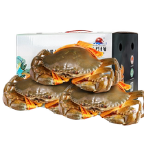 Sanmen Blue Crab Fresh Extra Large Red Crab Big Crab Extra Large Butter Crab Meat Crab Red Sturgeon Crab Female Crab Mid-Autumn Festival Gift Box