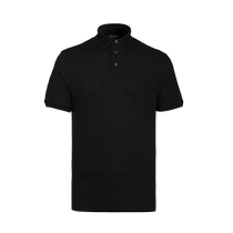 (Self-operated) EMPORIO ARMANI Armani mens lapel short-sleeved summer temperament short-sleeved POLO shirt