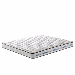 Haima mattress independent spring coconut palm Simmons top ten famous brands official brand latex cushion 20cm home dormitory