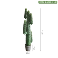 Новый с желтым кончиком желтого тазового кончика четырехдушного кактуса