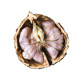 Dali Mountain Jujianzui Purple Rice Walnut Yunnan Walnut Yangbi Ziyi Niangqing Old Trunk Walnut 25 Years