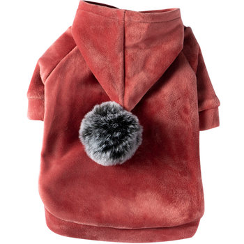 Sweatshirt casual cute spring and summer trendy autumn puppy