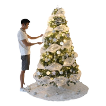 2023 new Christmas tree household small encryption package Internet celebrity high-end Christmas decoration ins style ornaments