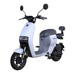 Ninebot Ninebot Koi A30C+ Smart Electric Bicycle New National Standard