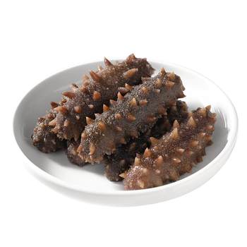 Yiyuan fujian xiapu fresh sea cucumber with q-flavor taste